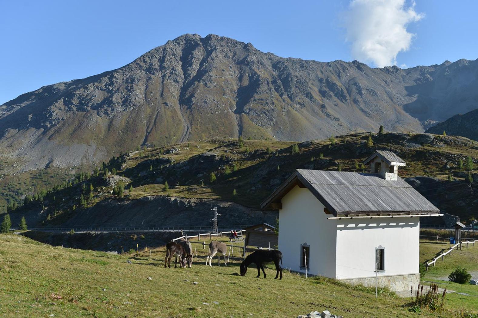 Hotel Interalpen Isolaccia Exteriér fotografie